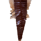 02e39ae0a85e2df9bf14fbeb6cedd0aa.png
