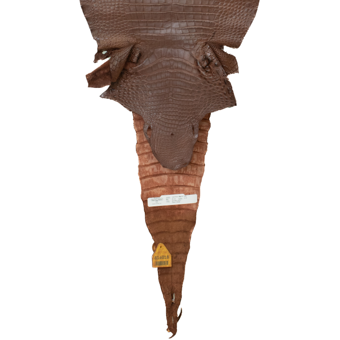 471caff32cc12415d6ed36d154112fe0.png