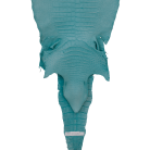 5c342c8aaf9d5698d416f5102c69141c.png